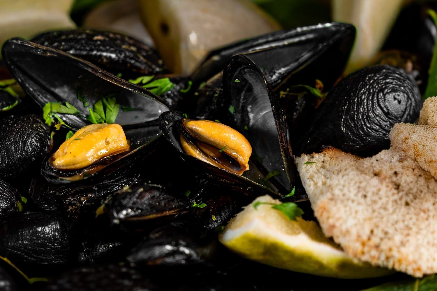 Cozze